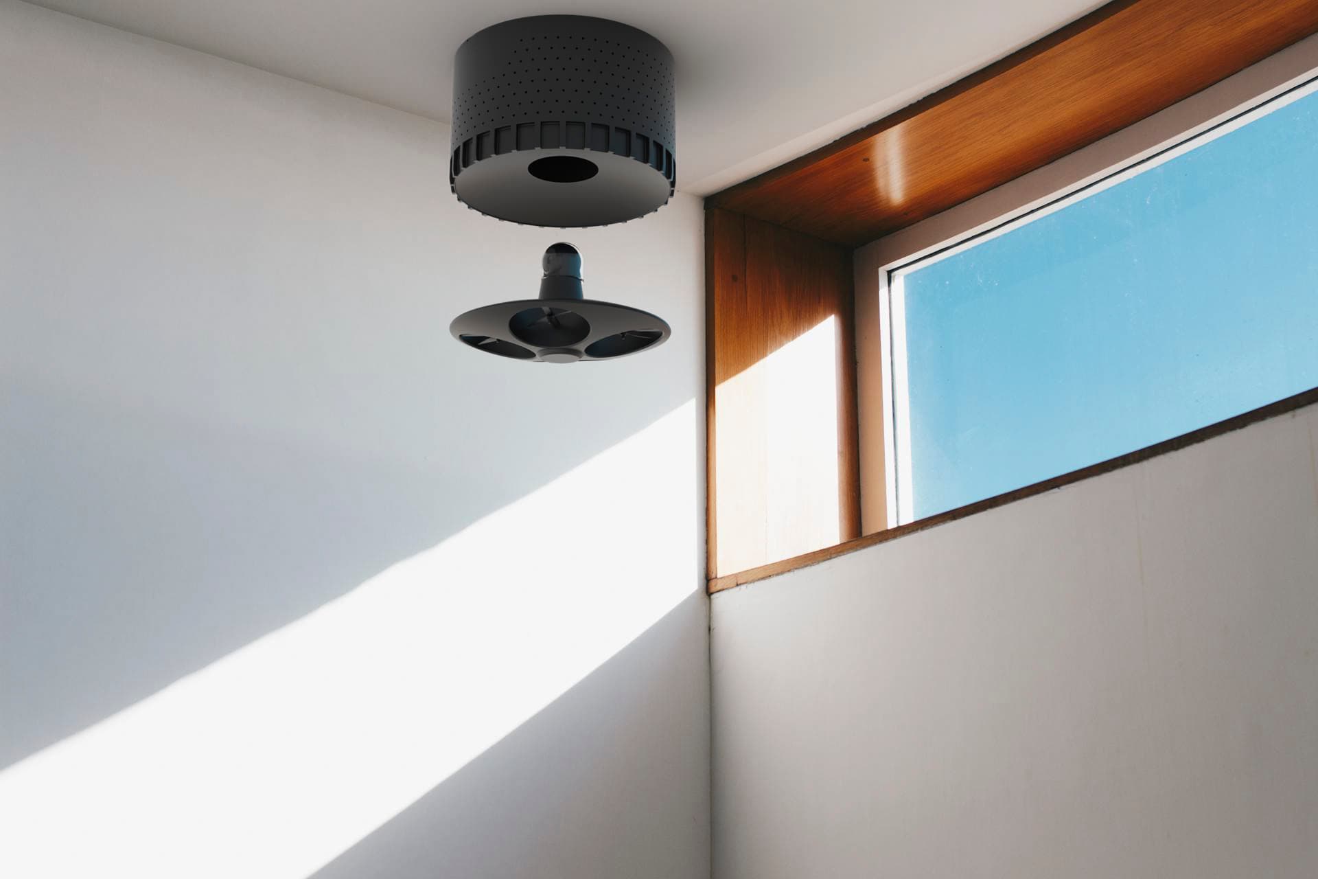 Night & Low-Light Vision